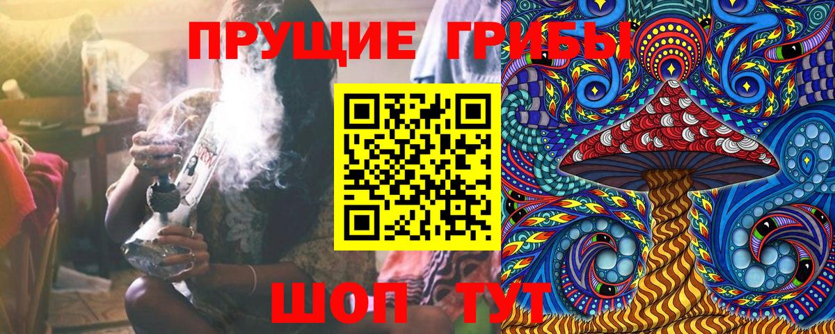 Галлюциногенные грибы прущие грибы Лесной