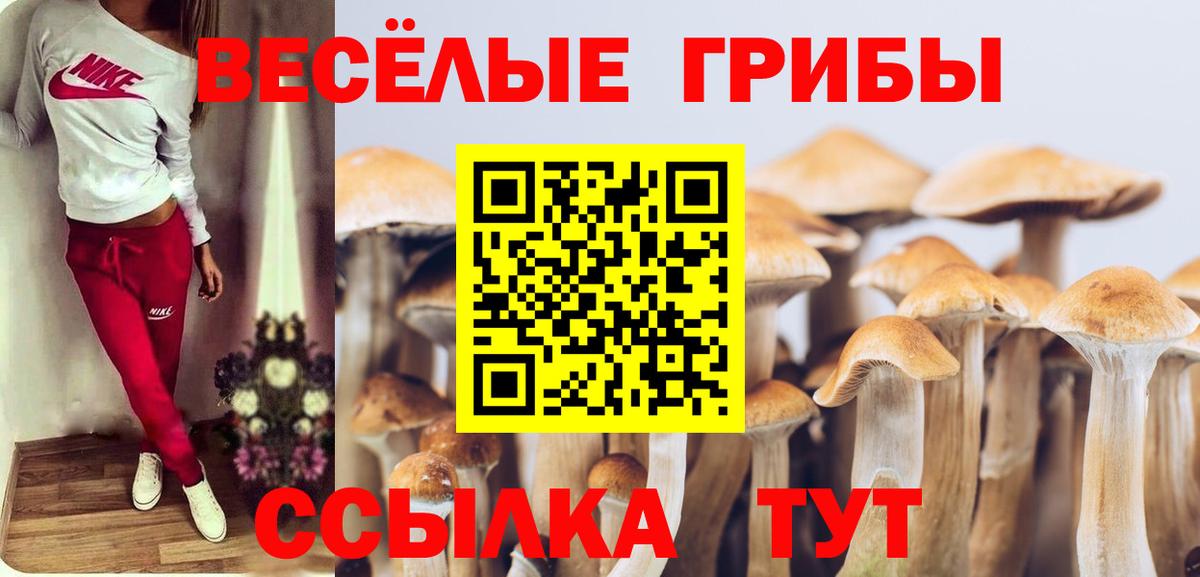 закладки  Галлюциногенные грибы GOLDEN TEACHER  Лесной  Вход с VPN  Галлюциногенные грибы MAGIC MUSHROOMS 